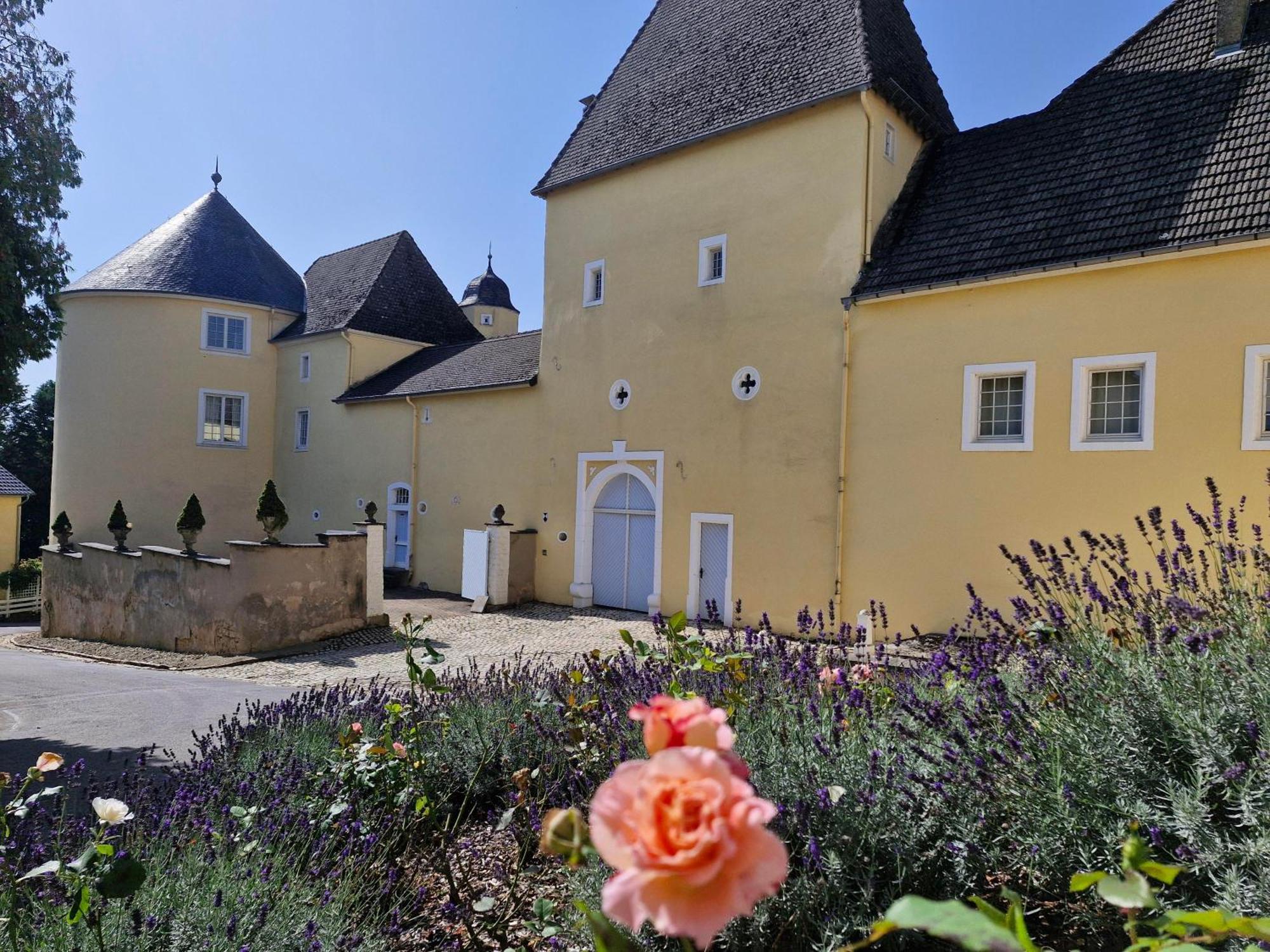 Schloss Thorn Palzem Exterior photo